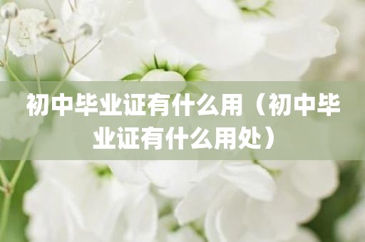 初中毕业证有什么用(初中毕业证有什么用处)