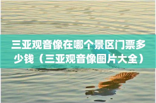 三亚观音像在哪个景区门票多少钱（三亚观音像图片大全）