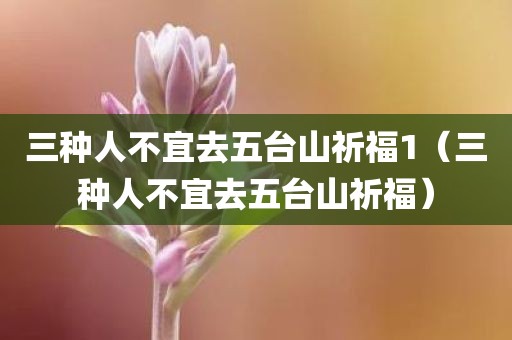 三种人不宜去五台山祈福1（三种人不宜去五台山祈福）