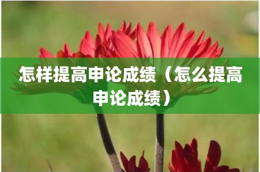 怎样提高申论成绩(怎么提高申论成绩) 怎样提高申论成绩(怎么提高申论成绩)