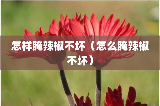 怎样腌辣椒不坏（怎么腌辣椒不坏）