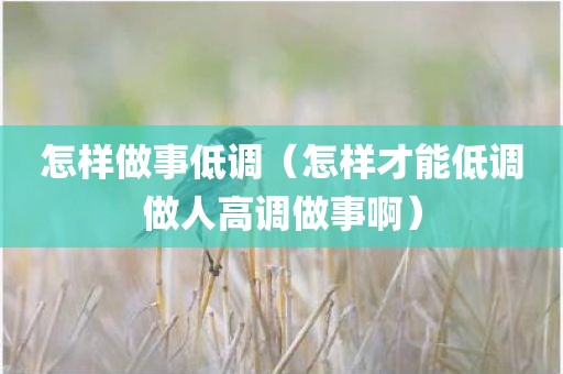 怎样做事低调（怎样才能低调做人高调做事啊）