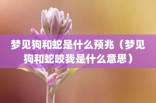 梦见狗和蛇是什么预兆(梦见狗和蛇咬我是什么意思)