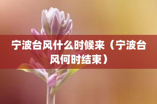 宁波台风什么时候来（宁波台风何时结束）