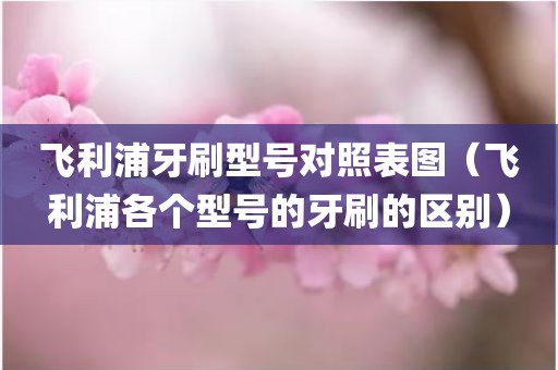 飞利浦牙刷型号对照表图（飞利浦各个型号的牙刷的区别）
