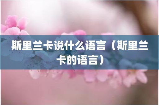 斯里兰卡说什么语言（斯里兰卡的语言）