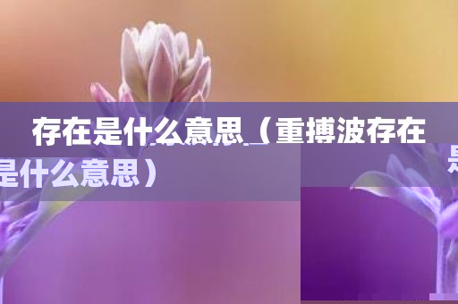 存在是什么意思（重搏波存在是什么意思）