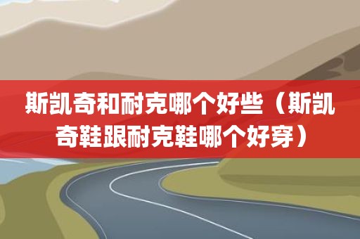 斯凯奇和耐克哪个好些（斯凯奇鞋跟耐克鞋哪个好穿）