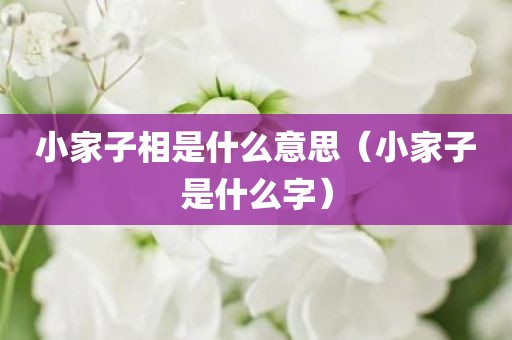 小家子相是什么意思（小家子是什么字）