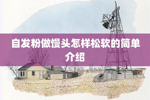 自发粉做馒头怎样松软的简单介绍