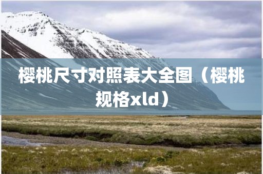 樱桃尺寸对照表大全图（樱桃规格xld）