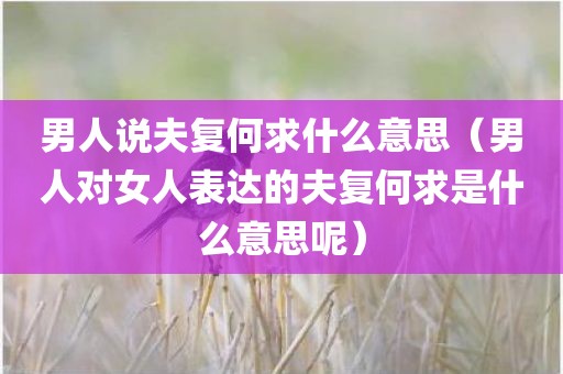男人说夫复何求什么意思（男人对女人表达的夫复何求是什么意思呢）