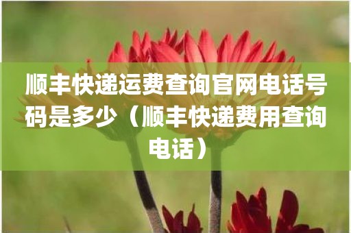顺丰快递运费查询官网电话号码是多少(顺丰快递费用查询电话) 顺丰快递运费查询官网电话号码是多少(顺丰快递费用查询电话)