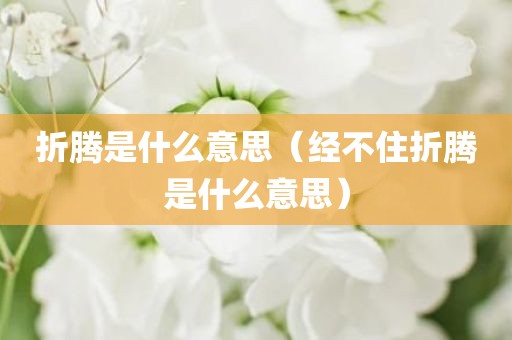折腾是什么意思（经不住折腾是什么意思）