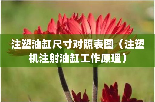 注塑油缸尺寸对照表图（注塑机注射油缸工作原理）