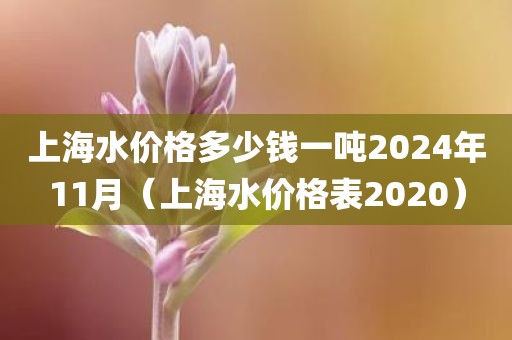 上海水价格多少钱一吨2024年11月（上海水价格表2020）