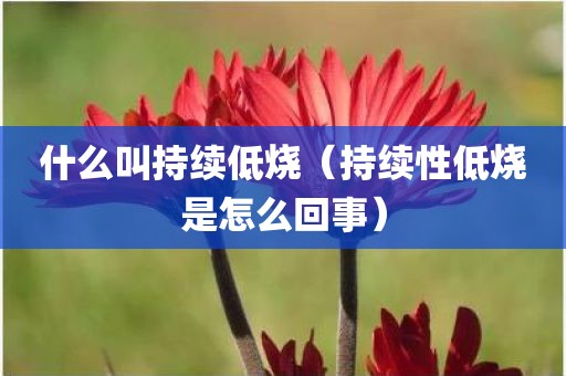 什么叫持续低烧（持续性低烧是怎么回事）