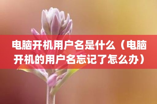 电脑开机用户名是什么（电脑开机的用户名忘记了怎么办）