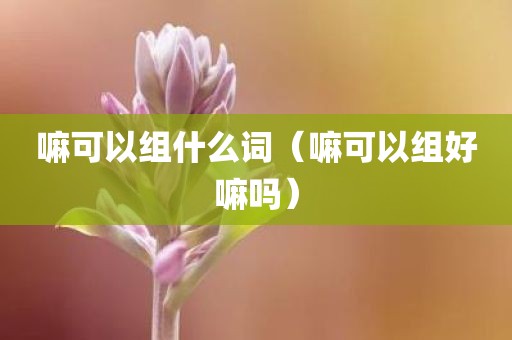 嘛可以组什么词（嘛可以组好嘛吗）