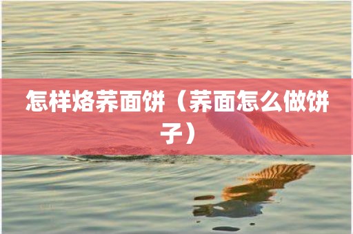 怎样烙荞面饼（荞面怎么做饼子）