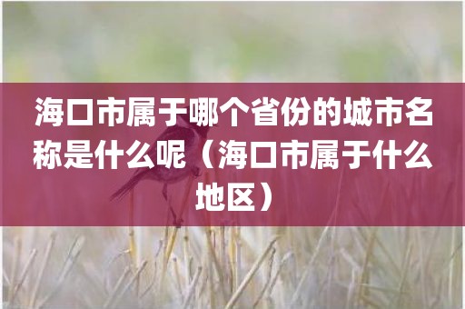 海口市属于哪个省份的城市名称是什么呢（海口市属于什么地区）
