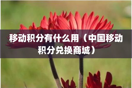 移动积分有什么用（中国移动积分兑换商城）