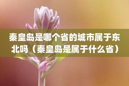 秦皇岛是哪个省的城市属于东北吗（秦皇岛是属于什么省）