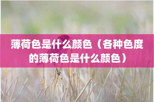 薄荷色是什么颜色（各种色度的薄荷色是什么颜色）