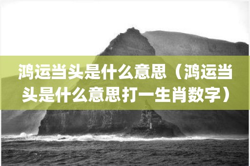 鸿运当头是什么意思(鸿运当头是什么意思打一生肖数字)