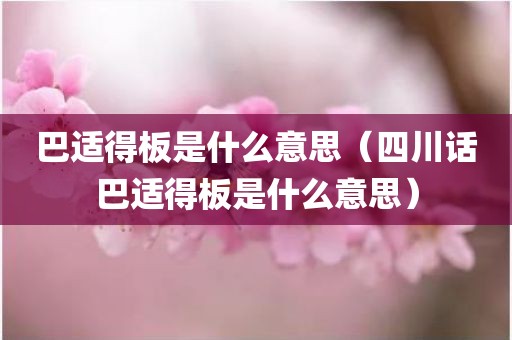 巴适得板是什么意思（四川话巴适得板是什么意思）