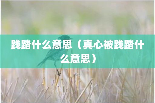 践踏什么意思（真心被践踏什么意思）