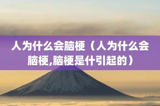 人为什么会脑梗（人为什么会脑梗,脑梗是什引起的）