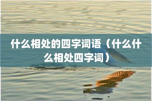 什么相处的四字词语（什么什么相处四字词）