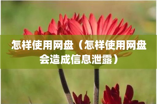 怎样使用网盘(怎样使用网盘会造成信息泄露)