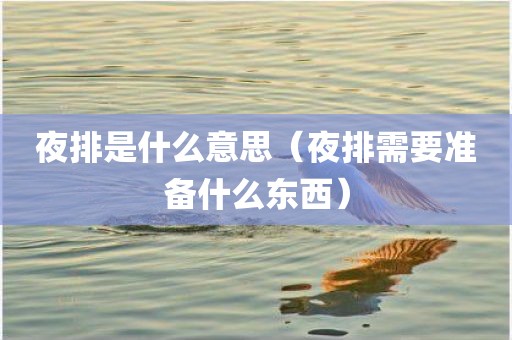夜排是什么意思（夜排需要准备什么东西）
