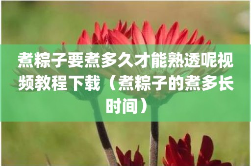 煮粽子要煮多久才能熟透呢视频教程下载（煮粽子的煮多长时间）