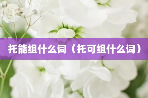 托能组什么词（托可组什么词）