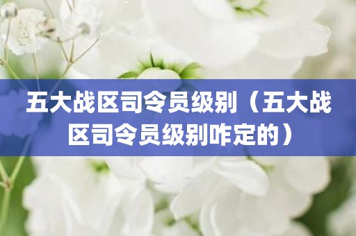 五大战区司令员级别(五大战区司令员级别咋定的)