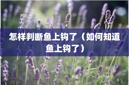怎样判断鱼上钩了（如何知道鱼上钩了）