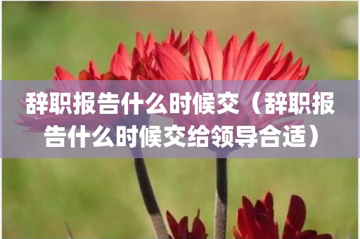 辞职报告什么时候交（辞职报告什么时候交给领导合适）