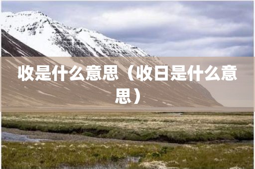 收是什么意思（收日是什么意思）