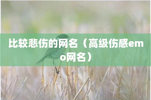 比较悲伤的网名（高级伤感emo网名）