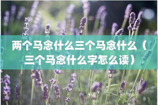 两个马念什么三个马念什么（三个马念什么字怎么读）
