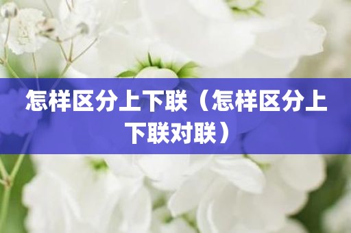 怎样区分上下联(怎样区分上下联对联)