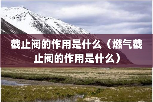截止阀的作用是什么（燃气截止阀的作用是什么）