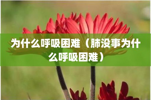 为什么呼吸困难（肺没事为什么呼吸困难）