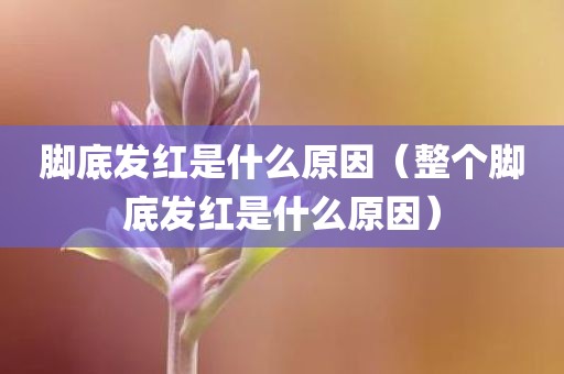 脚底发红是什么原因（整个脚底发红是什么原因）