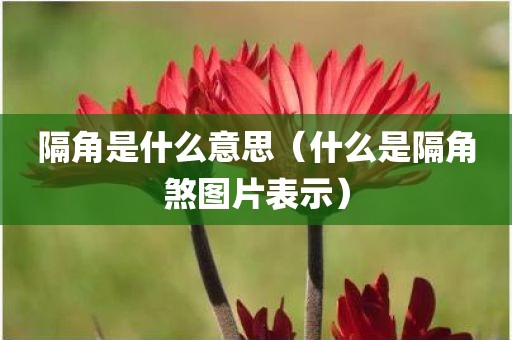 隔角是什么意思（什么是隔角煞图片表示）