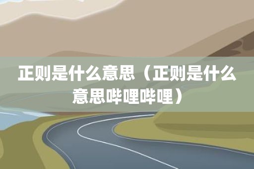正则是什么意思（正则是什么意思哔哩哔哩）
