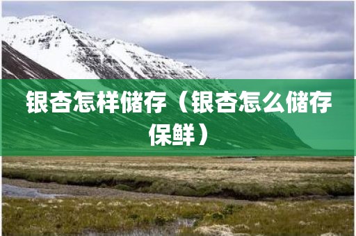 银杏怎样储存(银杏怎么储存保鲜) 银杏怎样储存(银杏怎么储存保鲜)